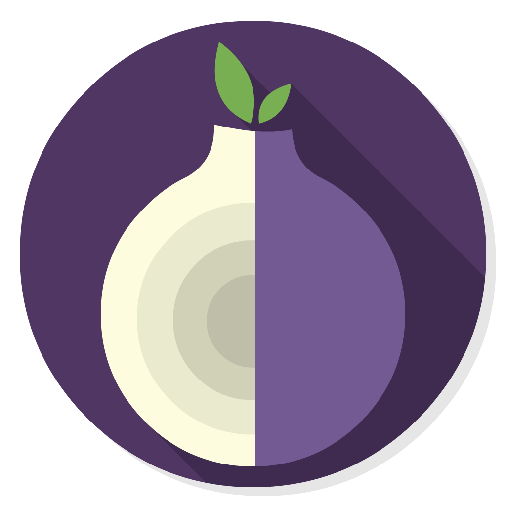 Tor flat icon