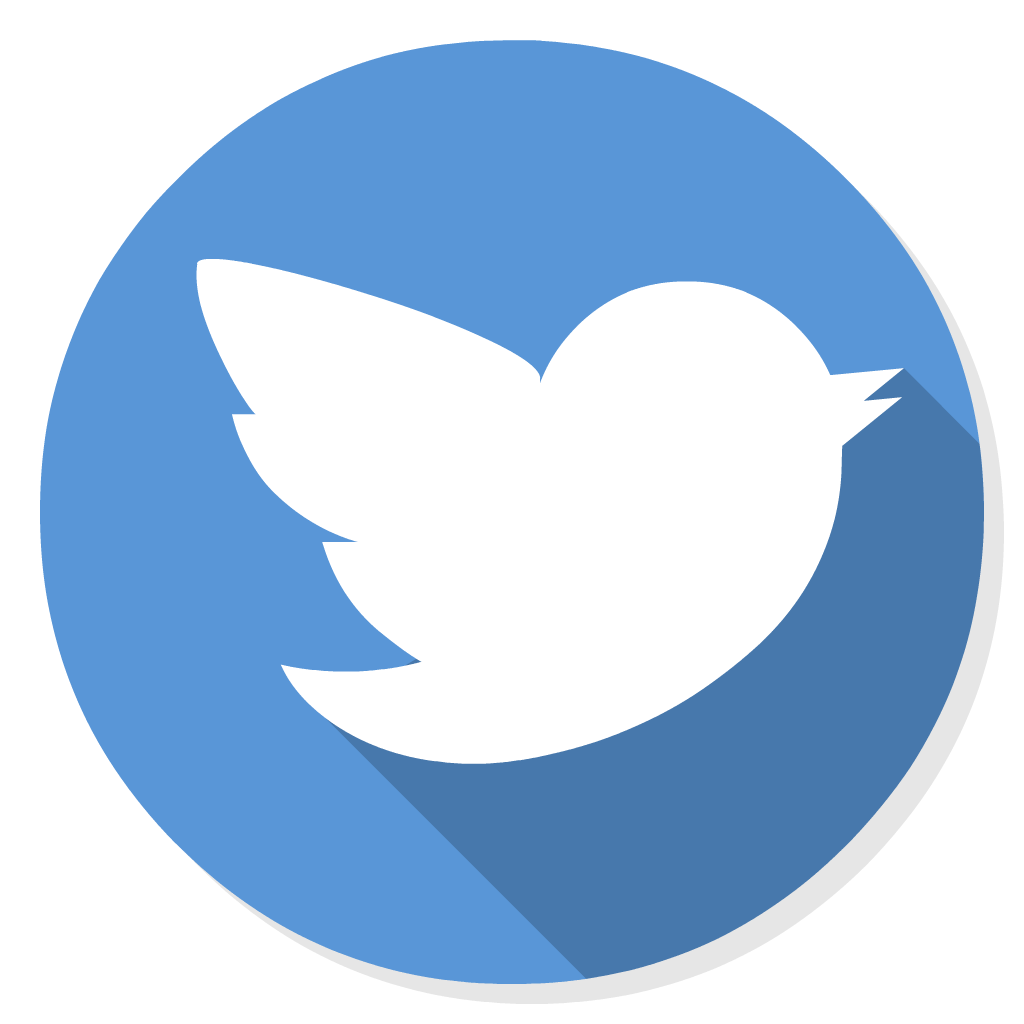 Twitter flat icon
