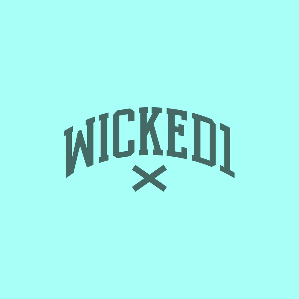 Wicked One web development