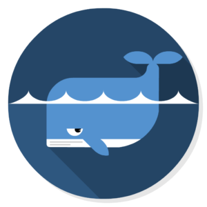 Docker flat icon