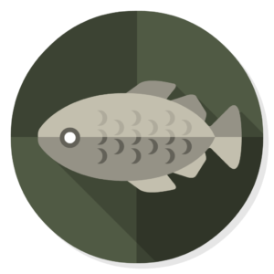 Stockfish flat icon