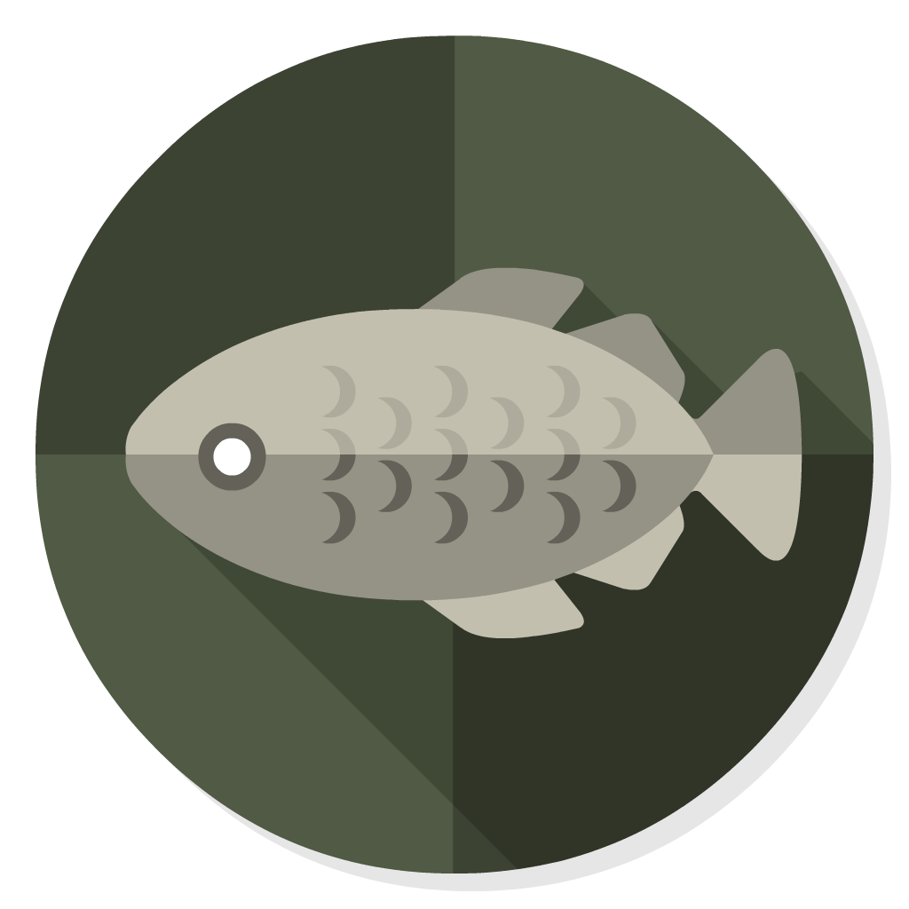 Stockfish flat icon