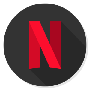Netflix flat icon