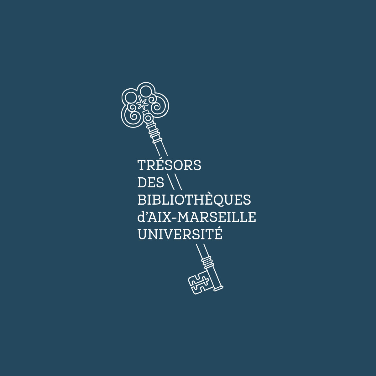 Trésors des Bibliothèques Universitaires d’Aix-Marseille flat icon